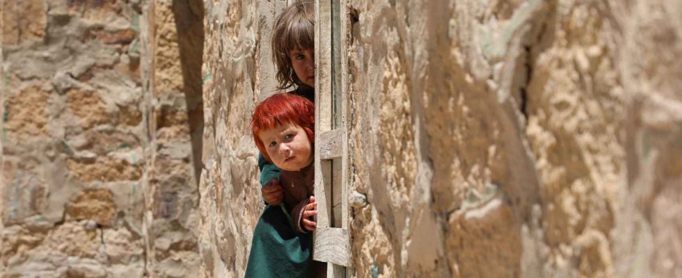 le quotidien des enfants en Afghanistan