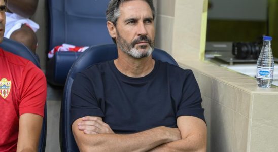 Almeria confirme le licenciement de Vicente Moreno
