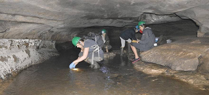 De grandes quantites de microplastiques decouvertes dans une grotte fermee