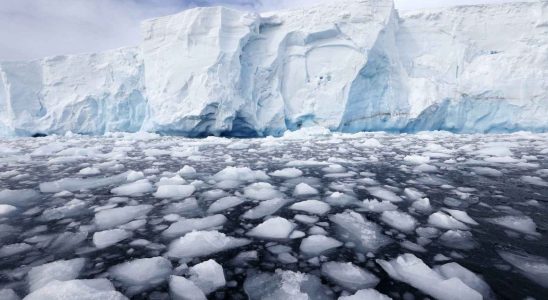 Des scientifiques decouvrent en Antarctique la vague de chaleur la