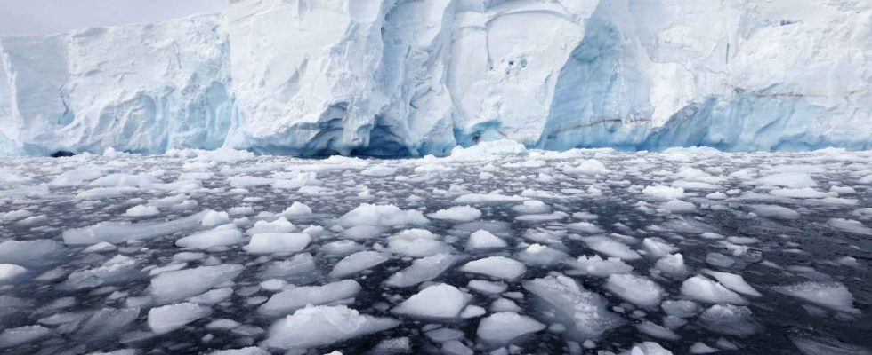 Des scientifiques decouvrent en Antarctique la vague de chaleur la