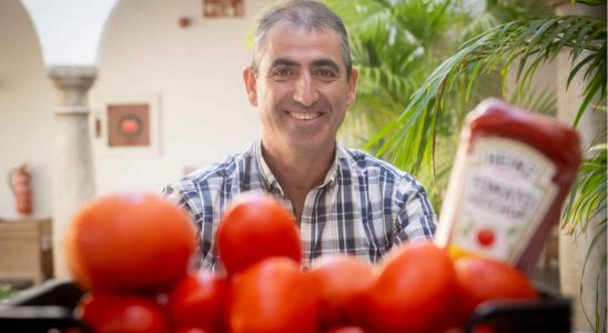 Emilio cultive les 3 000 tonnes de tomates Heinz sur