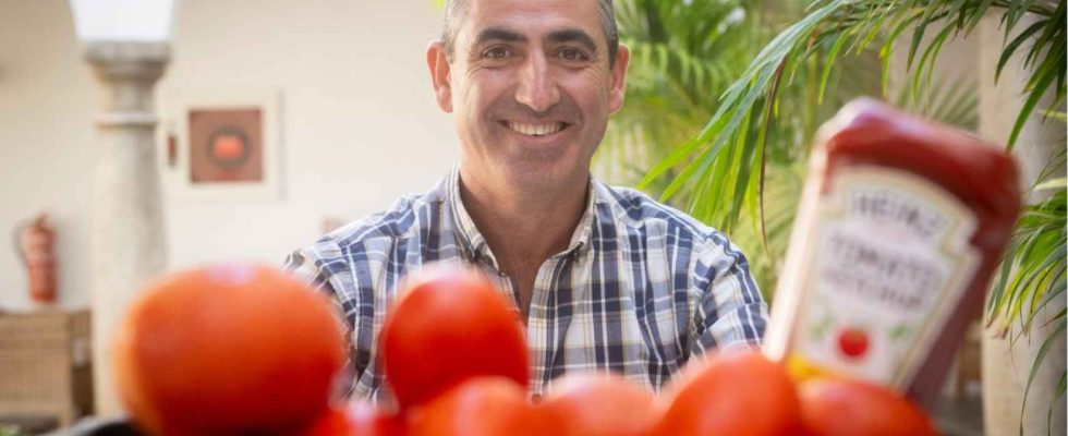 Emilio cultive les 3 000 tonnes de tomates Heinz sur