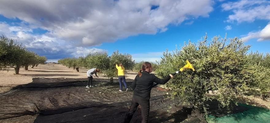 Huesca celebrera la Journee de la femme rurale avec 700