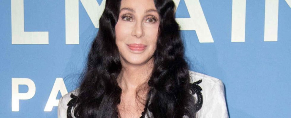 La chanteuse Cher accusee davoir engage quatre hommes pour kidnapper