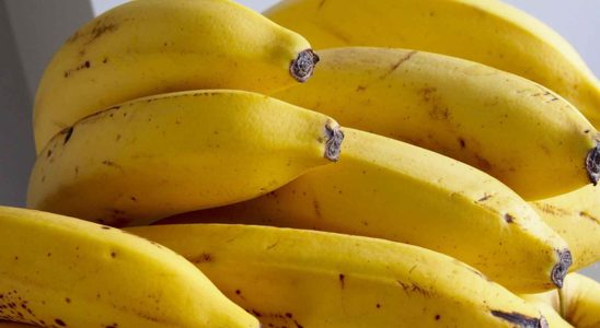 Laliment qui contient plus de deux fois plus de potassium