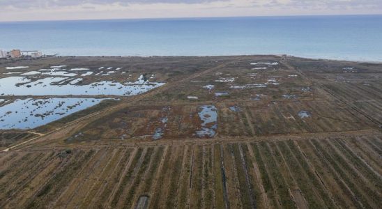 Le secteur rizicole previent que le changement climatique menace la