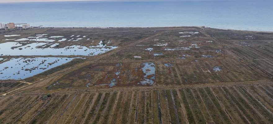 Le secteur rizicole previent que le changement climatique menace la