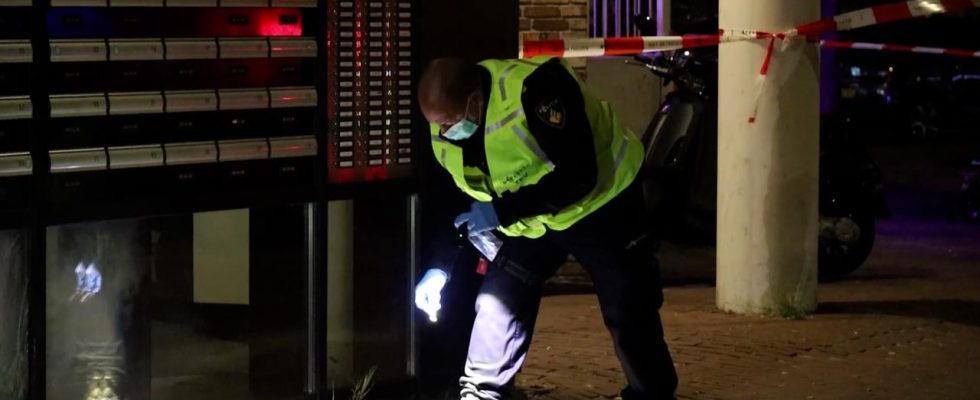 Multiples explosions a Amsterdam suspect arrete Domestique