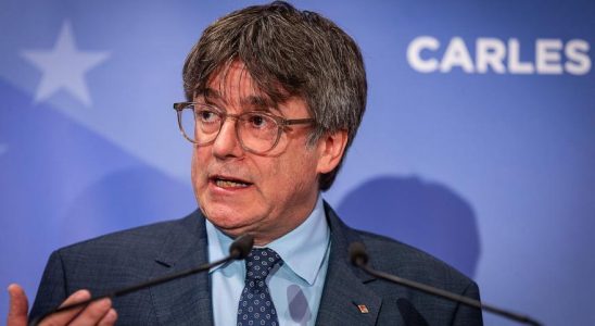 Puigdemont accuse la repression espagnole a legard du catalan