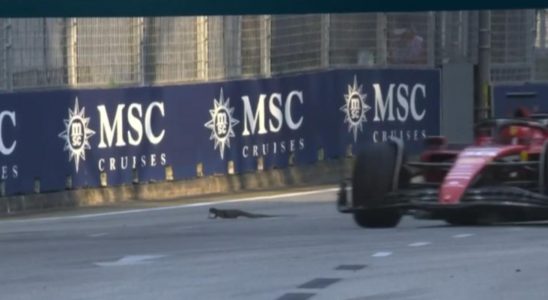 Verstappen troisieme lors des premiers essais libres Singapour perturbe par