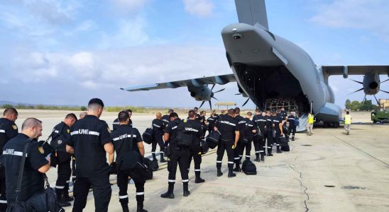 envoyer 56 soldats 41 pompiers et 14 chiens