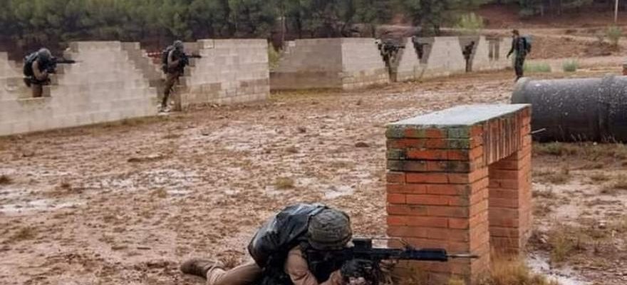 maison royale Les premieres manoeuvres militaires de la princesse