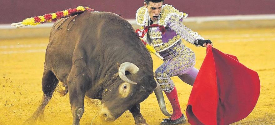 Alejandro Talavante gagnant en oreilles en vrac