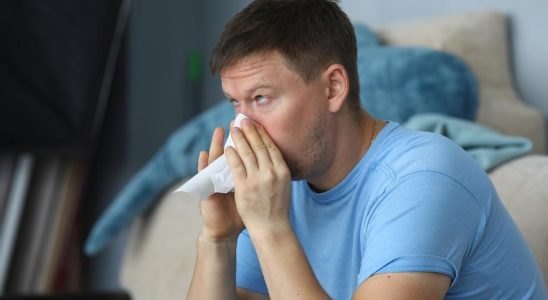 Comment les allergies les plus typiques de lautomne nous affectent