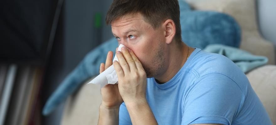 Comment les allergies les plus typiques de lautomne nous affectent