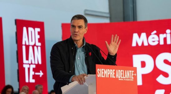 Le PSOE et Sumar aplanissent les dernieres marges de leur