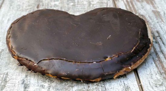 Le fruit avec plus de sucre quun palmier chocolat mais