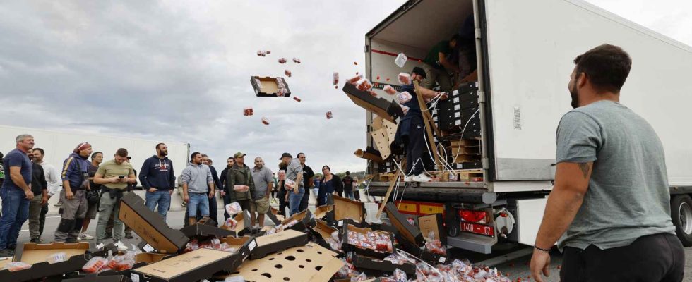 Les agriculteurs francais detruisent le chargement des camions espagnols a