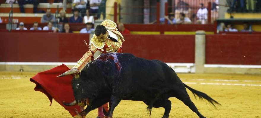 Les cabales explosent contre la societe Zuniga