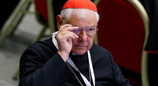 Les cardinaux conservateurs defient le pape alors que le synode