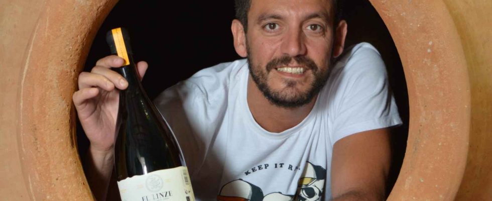 Lhistoire dEl Linze le meilleur vin espagnol elabore par Lucendo