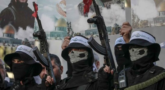 Lhistoire des militants palestiniens au dela du Hamas