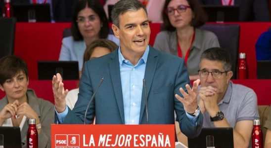 Sanchez rencontre linstance supreme du PSOE pour approuver la consultation