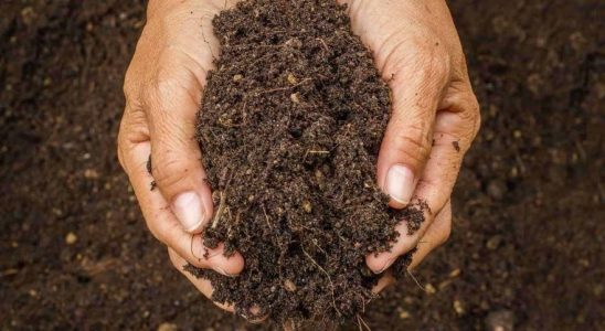 augmenter la matiere organique du sol