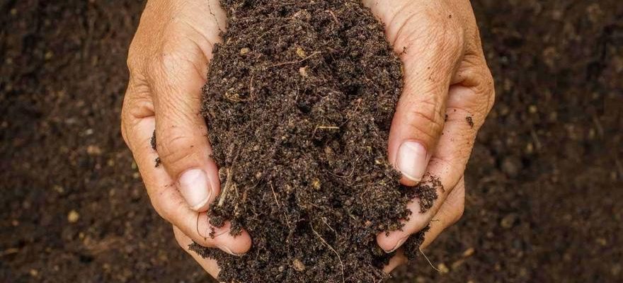 augmenter la matiere organique du sol