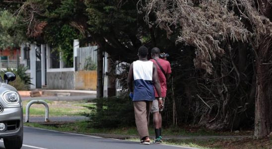 la recherche desesperee des migrants de Tenerife pour pouvoir parler
