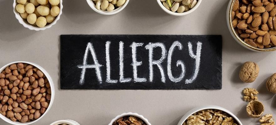 A quels aliments les allergies alimentaires augmentent elles en Espagne