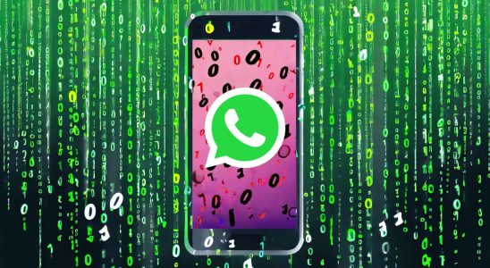 Comment savoir combien prend votre sauvegarde WhatsApp et comment la