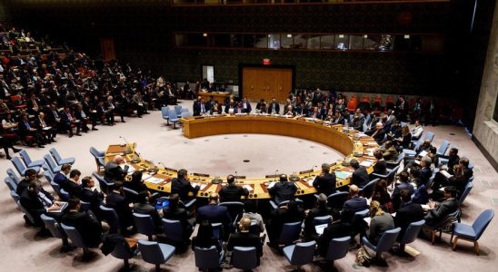 Le Conseil de securite de lONU adopte une resolution appelant