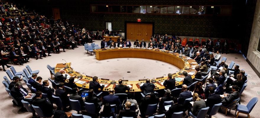 Le Conseil de securite de lONU adopte une resolution appelant