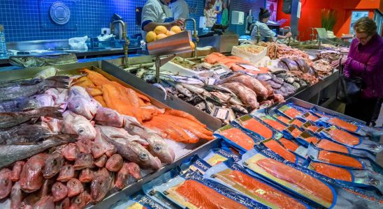 Le superpoisson oublie en Espagne mais avec le