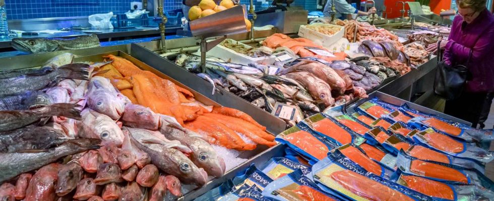 Le superpoisson oublie en Espagne mais avec le