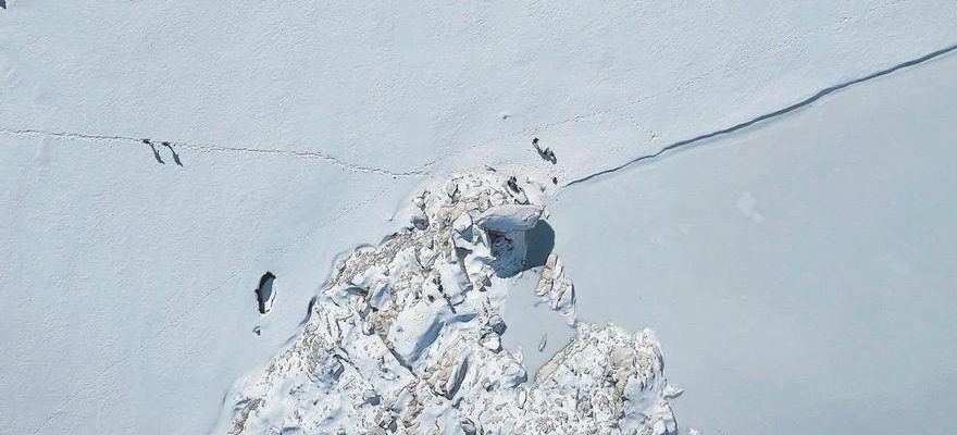 Les Pyrenees laboratoire dessais du changement climatique