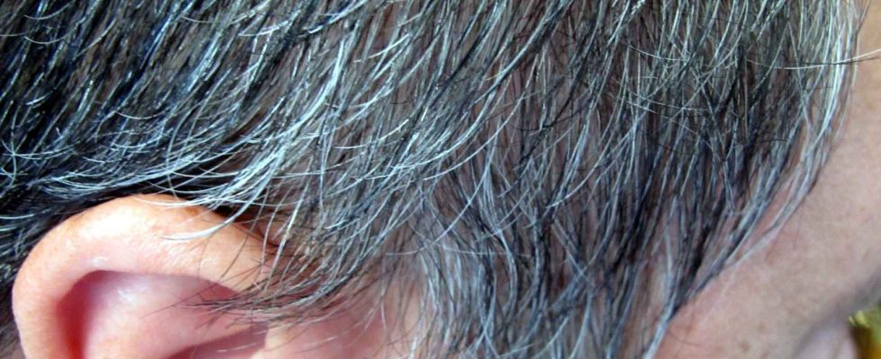 Les cinq aliments qui eliminent les cheveux gris selon le