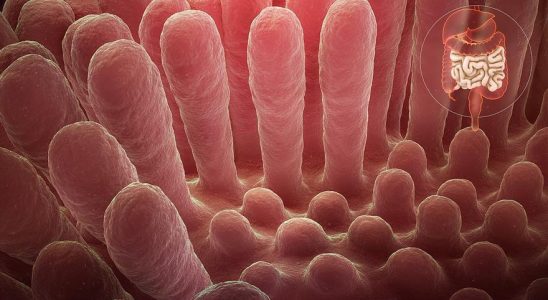 Les futurs traitements pourraient ils resider dans le microbiote intestinal