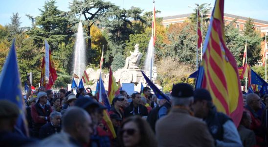 Manifestation contre lamnistie a Madrid le samedi 18 novembre en