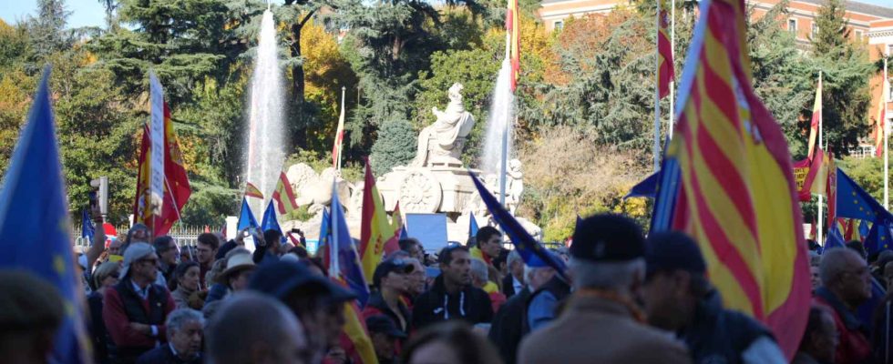 Manifestation contre lamnistie a Madrid le samedi 18 novembre en