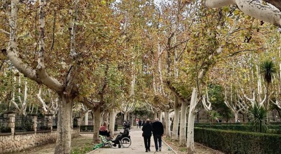 Meteo a Saragosse pour aujourdhui jeudi 16 novembre