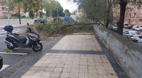 Meteo a Saragosse pour aujourdhui vendredi 3 novembre