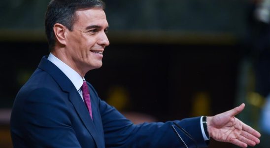 Pedro Sanchez annonce son nouveau gouvernement