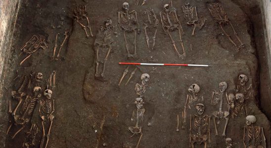 500 squelettes a Cambridge revelent la vie des gens ordinaires