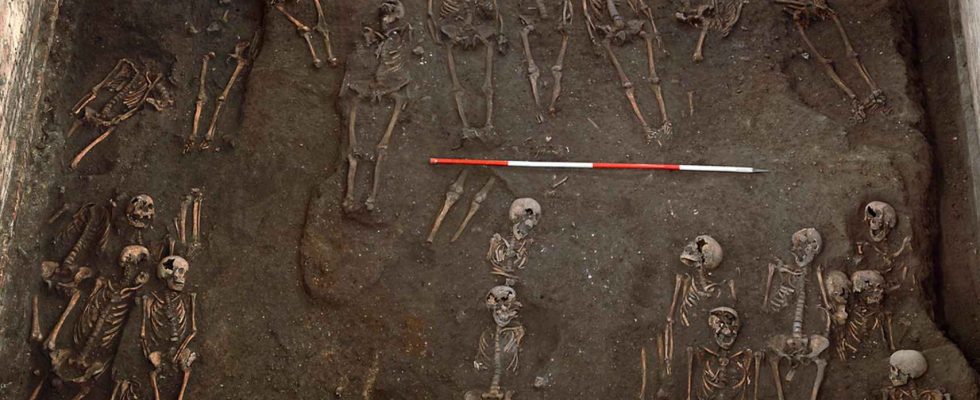 500 squelettes a Cambridge revelent la vie des gens ordinaires