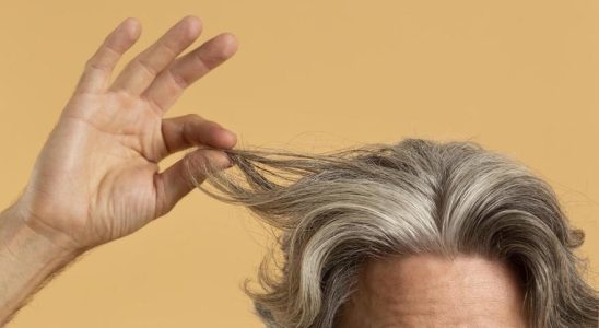 Astuces cheveux gris Aliments miracles avec biotine pour prevenir