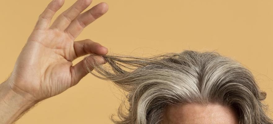 Astuces cheveux gris Aliments miracles avec biotine pour prevenir