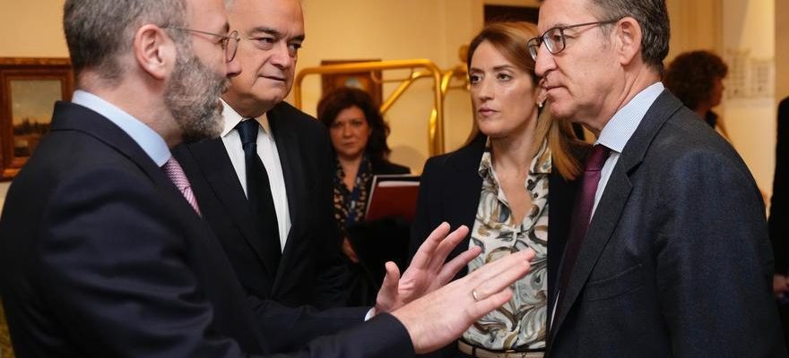 Feijoo previent ses partenaires europeens que Sanchez imitera le PP